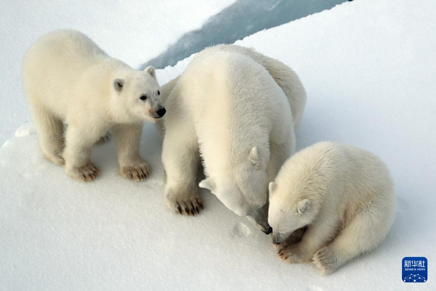 ‘?? 2’? ?? ??? ???? ?? ?? ?? ???? ? ?? ?? [8? 31? ??/?? ??: ???]