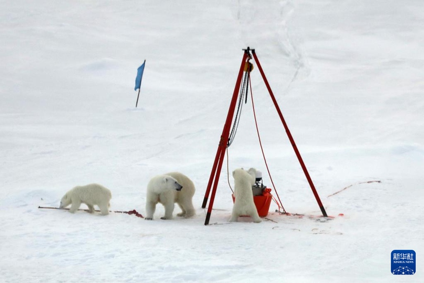 ?? ???? ? ?? ??? ???? ?? ??? ???? ?? ?? ?? ???? ???? ??. [8? 30? ??/?? ??: ???]