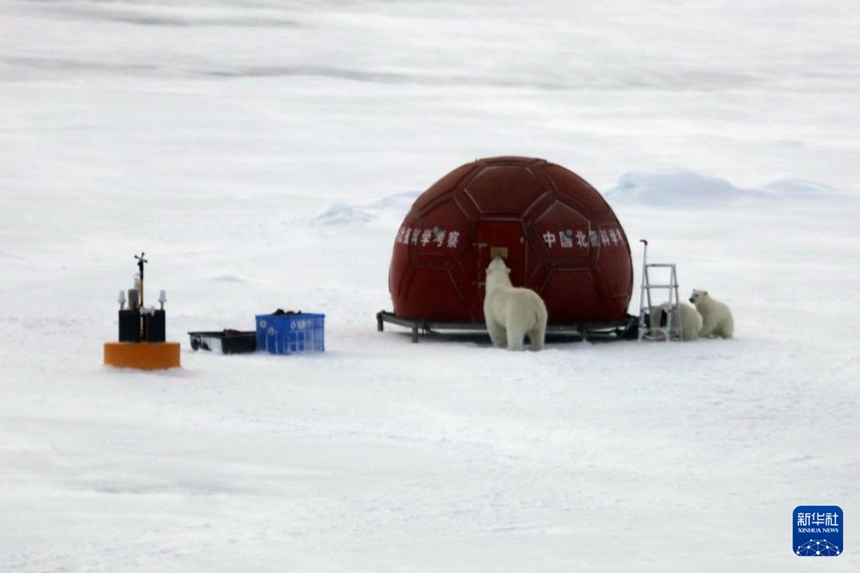 ?? ???? ? ?? ??? ??? ?? ?? ??? ???? ??. [8? 30? ??/?? ??: ???]