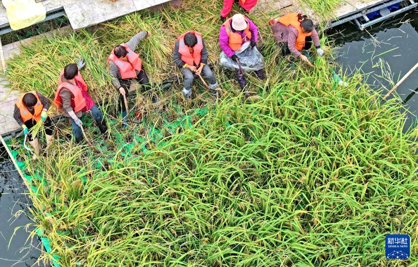 ???? ???? ???? ?? ?? ?? ?? ???? ????? ??? ?? ???? ??. [10? 14? ?? ??/?? ??: ??]