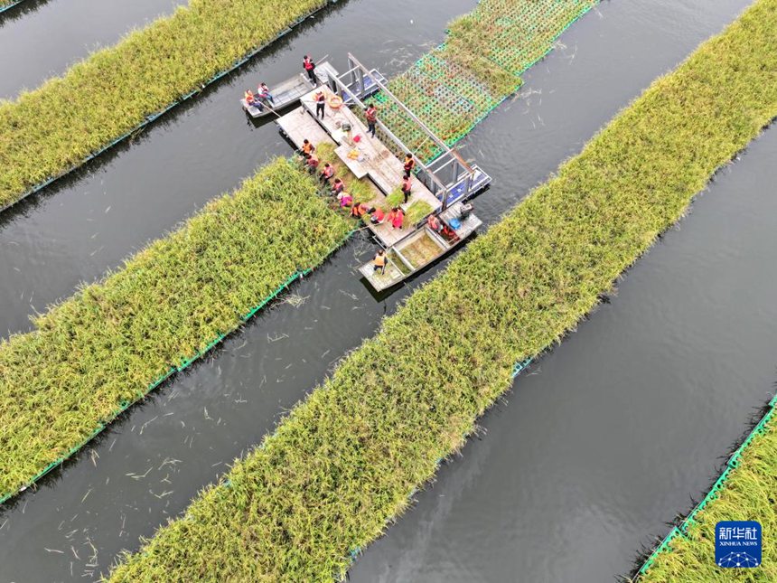 ???? ???? ???? ?? ?? ?? ?? ???? ????? ??? ?? ???? ??. [10? 14? ?? ??/?? ??: ??]