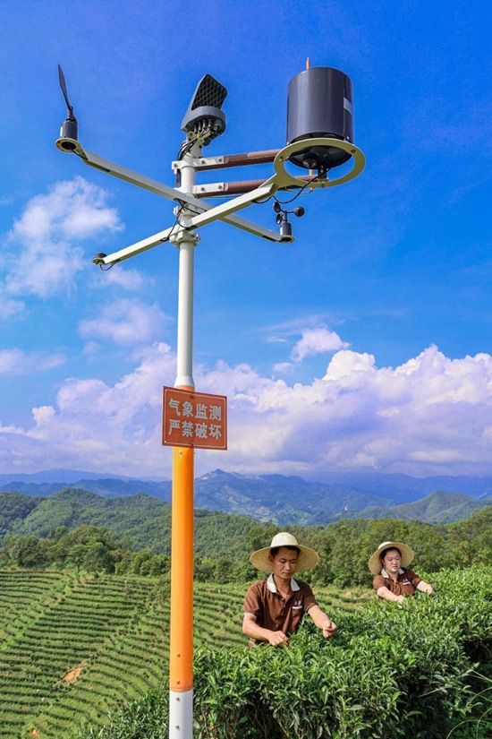 ??(廣西)??(壯族, ??)??? ???(梧州)? ??(蒼梧)?? ? ??? ??? ??? ?? ?? ?? ???? ?? [?? ??: ?????(顏桂海)]