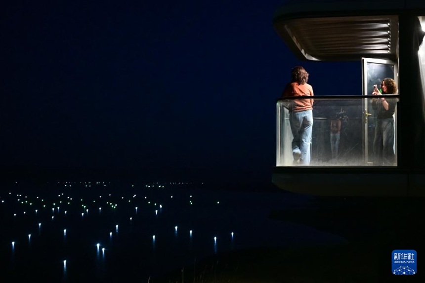 ????? ?????????? ???? ??? ??? ?? ??. [10? 17? ??/?? ??: ???]