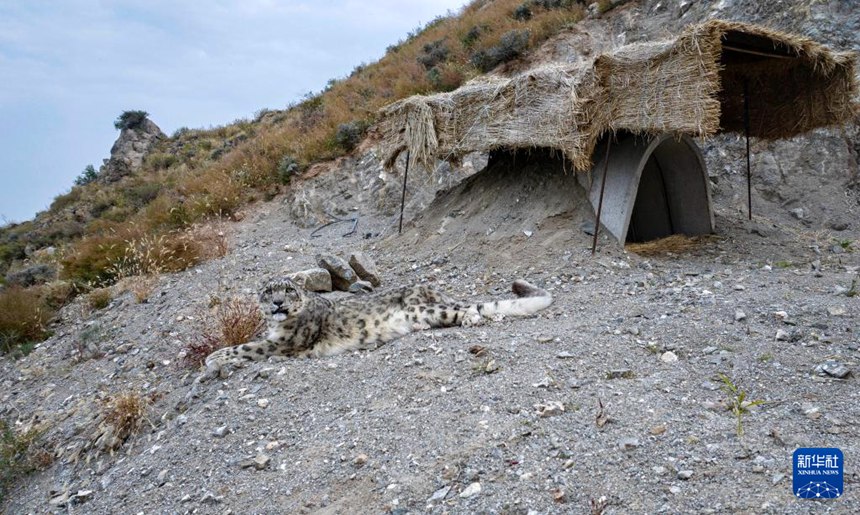 ?? ??? ??? ?? ???? ?? ??? ?? ??? ?? ???? ???? ??? ?? ??? ?? ???. [10? 24? ?? ??/?? ??: ???]