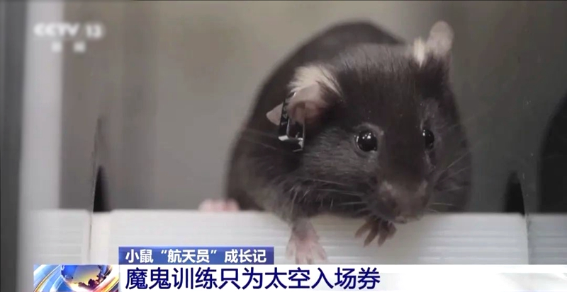 4?? ‘?? ?????’ ???! ‘????’ ???