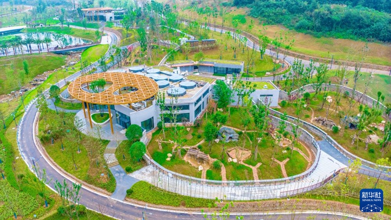 ???? ??? ?? ?????? ?????? ????