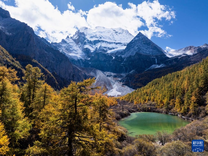 [??] ?? ???? ???? ?????? ???