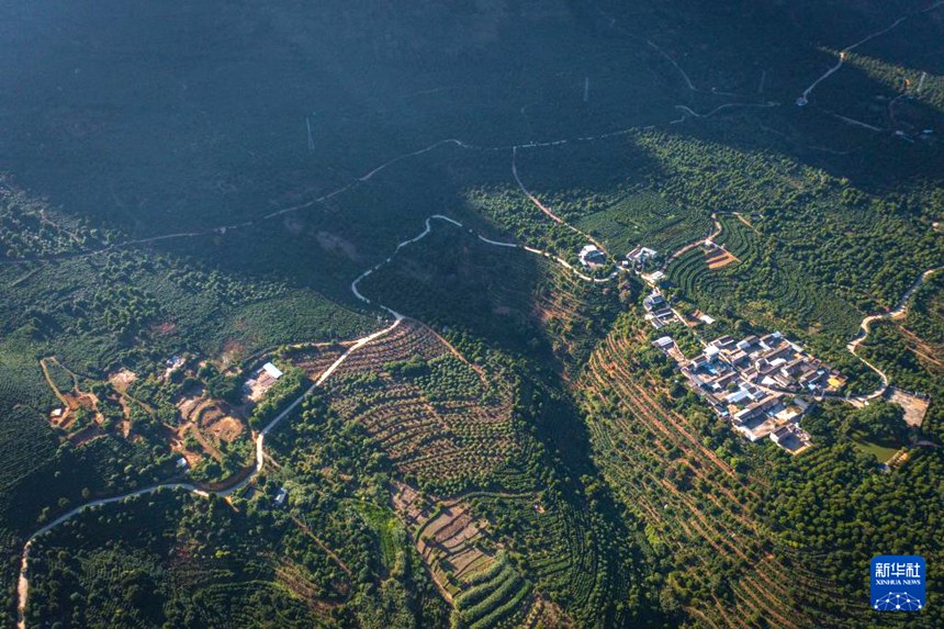 ??? ???? ??? ????? ?? ?? [11? 16? ?? ??/?? ??: ???]