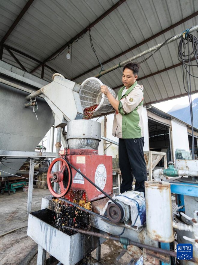 ???? ? ?? ???? ??? ?? ??? ??? ???? ??.  [11? 16? ??/?? ??: ???]