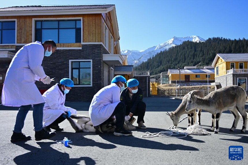 ?????? ???? ???? ????? ????. [11? 10? ??/?? ??: ???]