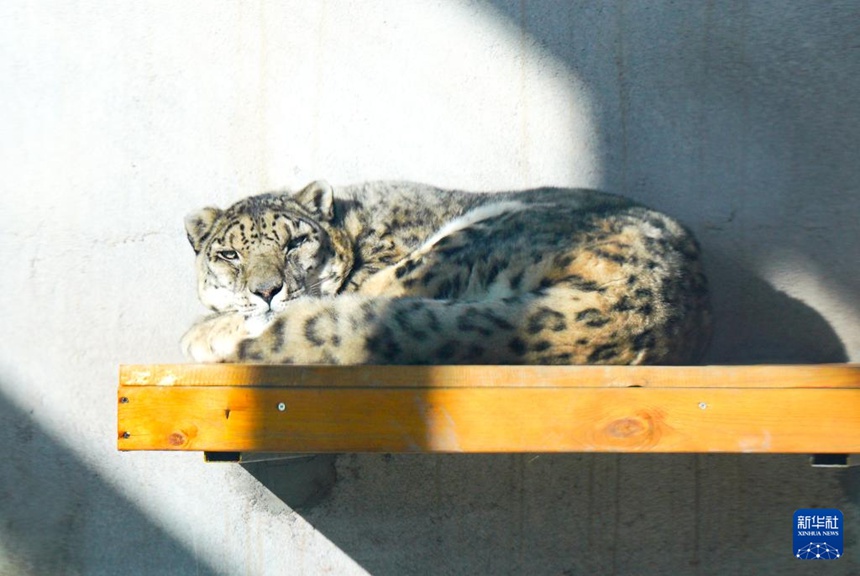 ??? ??? ‘???’(齊德龍), ??? ?? ????? ?? ???? ??? ??? ??? ???. [11? 10? ??/?? ??: ???]