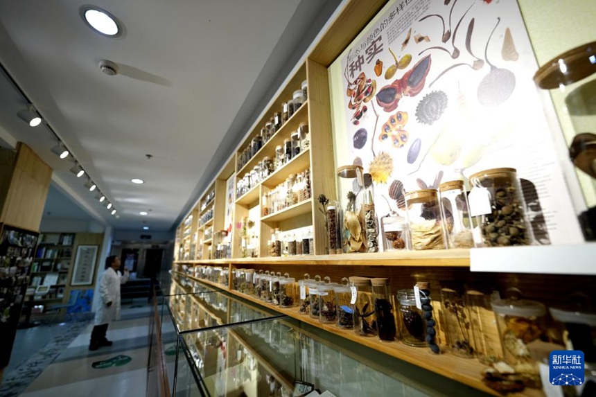 ????? ???? ?? ? [11? 19? ??/?? ??: ???]