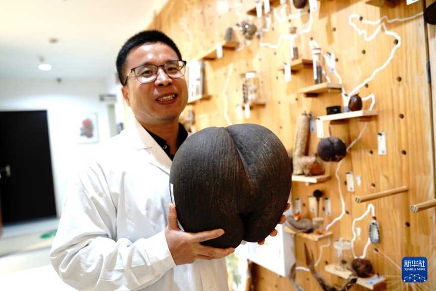 ??? ??? ???? ?? ? ?? ??? ‘?? ? ??’(??: Lodoicea maldivica)? ??? ???? ??. [11? 19? ??/?? ??: ???]