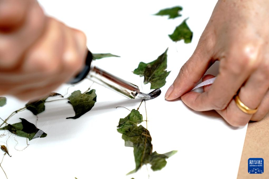 ??? ?????? ?? ??? ???? ??. [11? 19? ??/?? ??: ???]