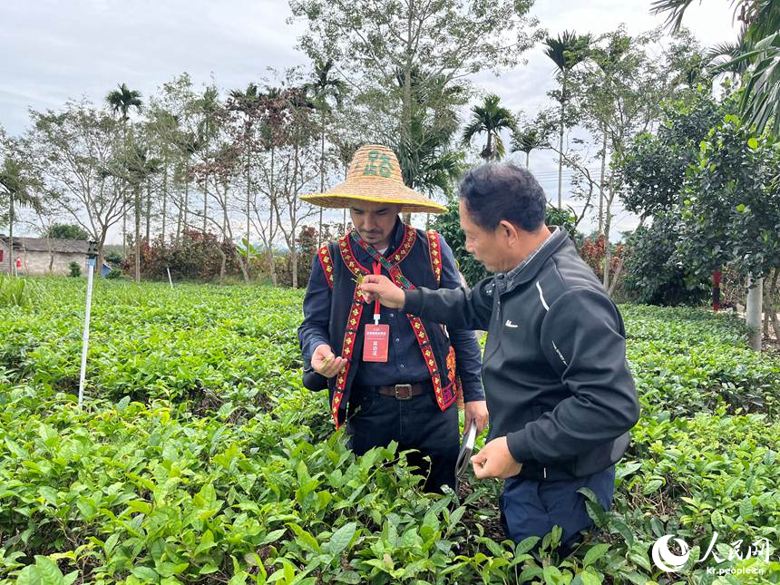 ??? ??? ??? ? ???? ???(王見(jiàn)君) ???? ??? ??? ?? ????? ? ? ?? ??? ???? ??. [?? ??: ???]