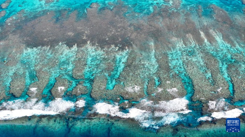 8? ??? ???? ??? ?????? [???? ??/?? ??: ???]