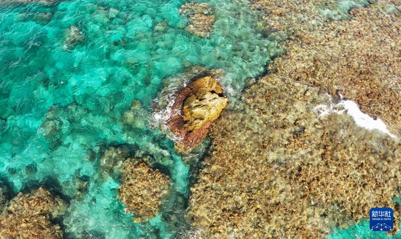 8? ??? ???? ??? ?????? [???? ??/?? ??: ???]