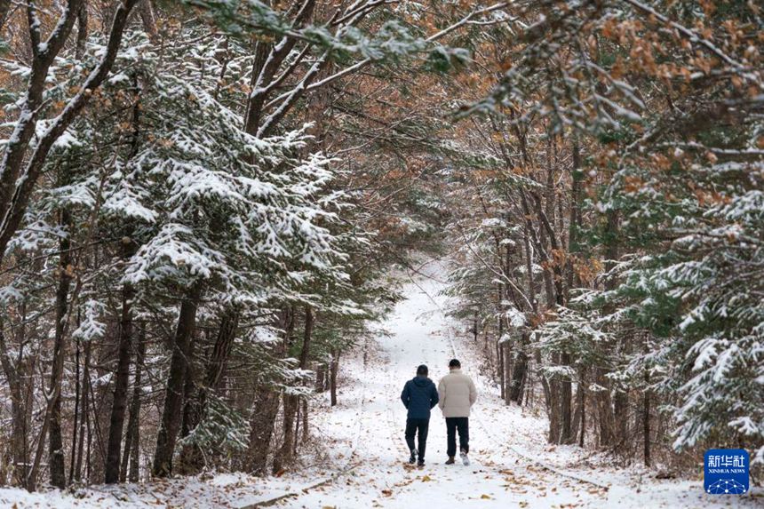 G331 ?? ??? ?? ??? ? ????? ?? ?? ??? [11? 6? ??/?? ??: ???]