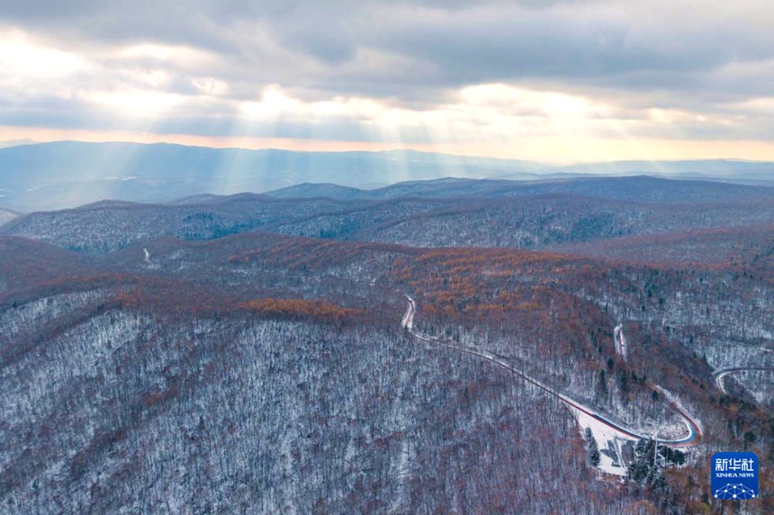 [??] G331 ?? ?? ??? ?? ?? ??? ???? ??