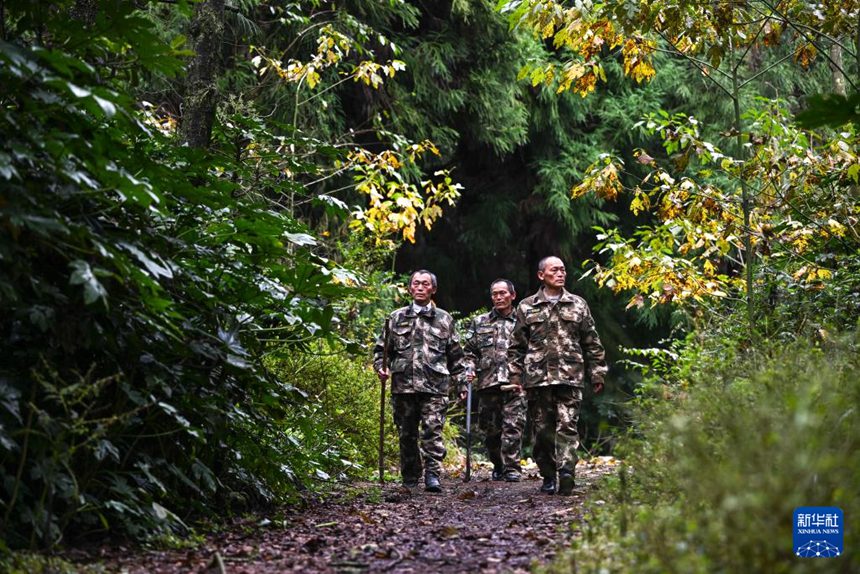 ??(???), ??(??), ?? ???? ??? ????? ??? ???? ??? ?????? ????? ?? ?? ???. [11? 13? ??/?? ??: ???]