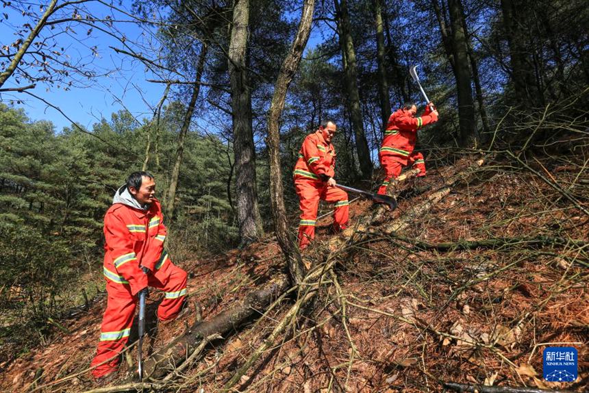 ??(???), ??(???), ?? ???? ??? ???? ?? ? ??? ??? ????. [2019? 1? 3? ??/?? ??: ???(王純亮)]