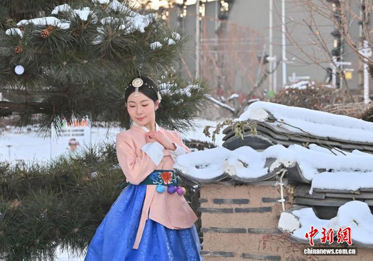 ??? ??? ?? ???? ?????? ???? ??? ?? ?? ??? ???? ??. [12? 2? ??/?? ??: ?????]