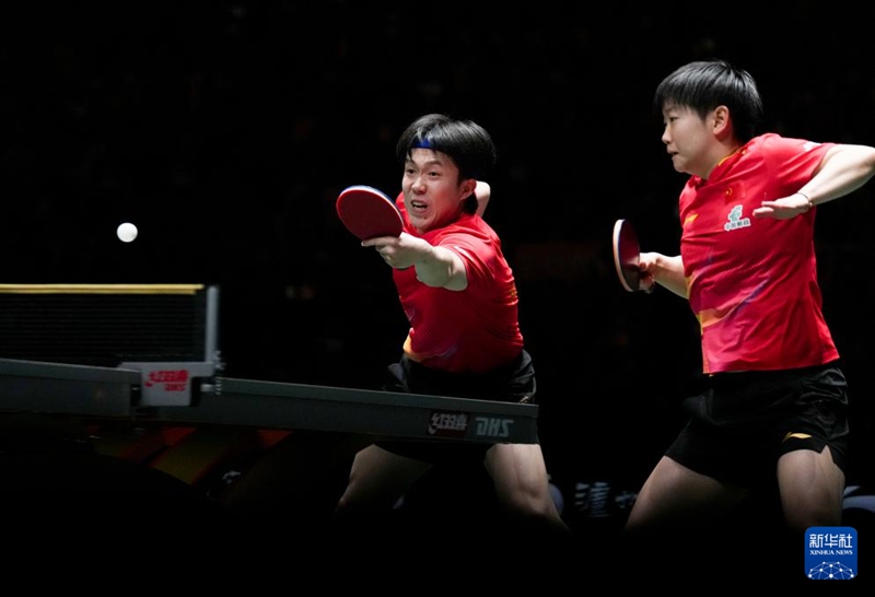 ??? ???(王楚欽·?)/???(孫穎莎) ?? ?? ?? ???? ?? ?? ??. ??? ??? ???? ??/?? ??? ?? 3:0?? ???. [12? 7? ??/?? ??: ???]