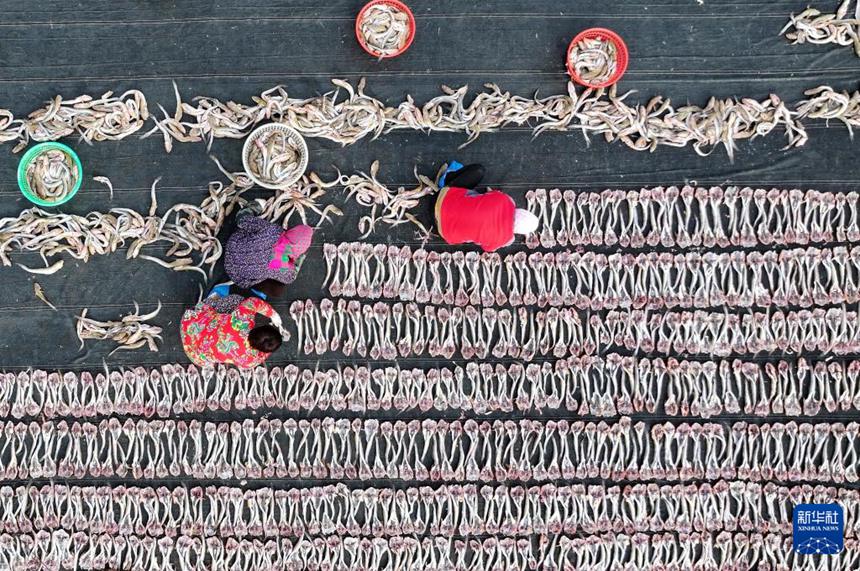 ???? ??? ??? ?????? ???? ???? ???? ??. [11? 30? ?? ??/?? ??: ???]