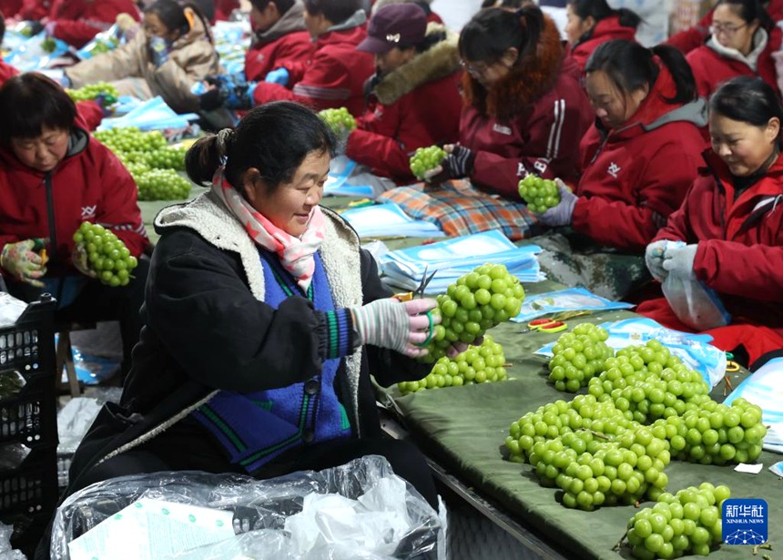 ???? ? ?? ?? ??? ?? ?? ????? ????? ??? ??. [12? 8? ??/?? ??: ???]