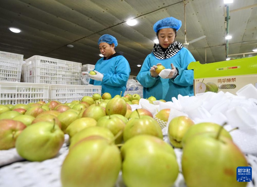 ???? ? ?? ?? ??? ? ?? ?? ???? ????? ??? ??. [12? 8? ??/?? ??: ???]